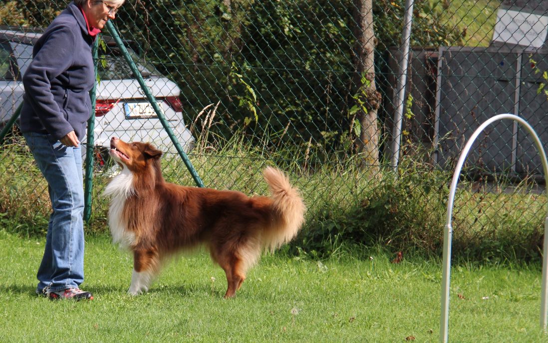 Hoopers seine Leidenschaft Image